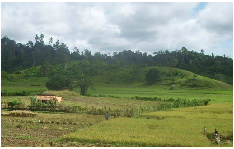 Gambar 7. Kondisi topografi kampung Waijan 