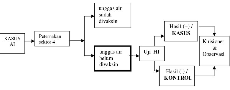 Tabel  2      Prevalensi serologis AI pada unggas air di Kabupaten Bogor dan Sukabumi (Laporan akhir FKH IPB dan Deptan RI 2006)