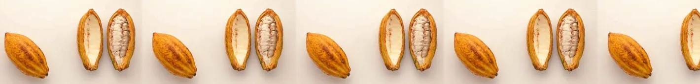 Table 3: Effect of replacing barleyby urea treated cocoa pod on fermentationcharacteristics in Rusitec