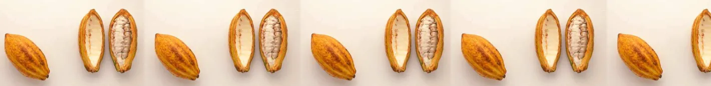 Table 3: Effect of replacing barleyby urea treated cocoa pod on fermentationcharacteristics in Rusitec