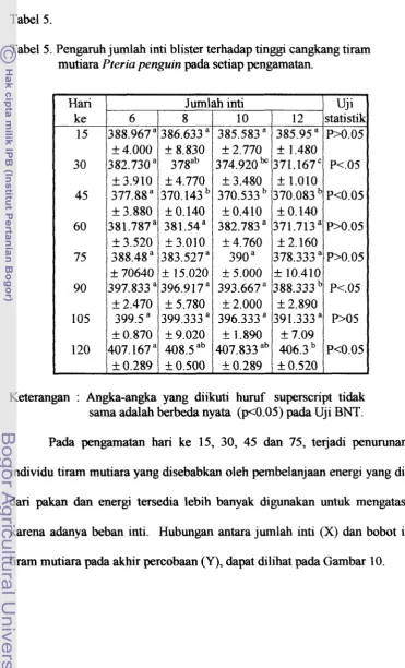 Tabel 5. 