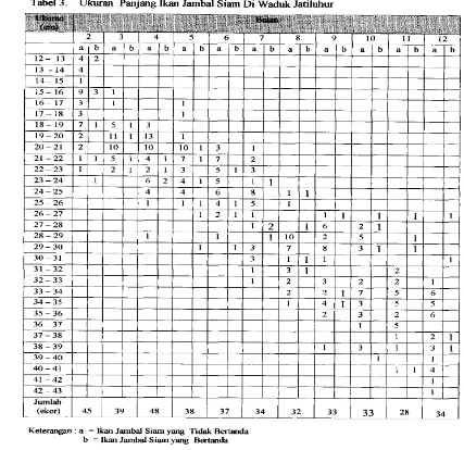 Tabel 3. Ukuran Panjang &an Jambal Siam Di Waduk Jatiluhur 