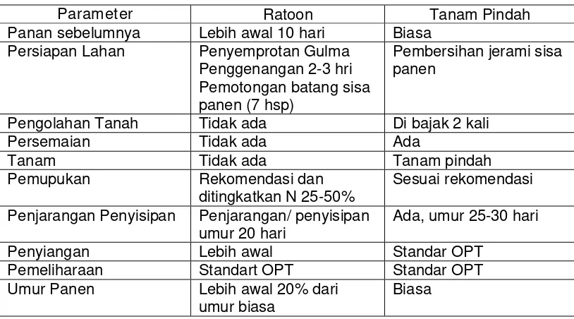 Tabel 1. Perbandingan Budidaya Sistem Ratoon dengan Sistem Konvensional (Erdiman, 2012)