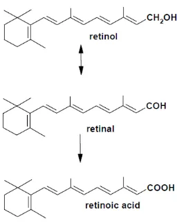 Gambar 2.5 Struktur kimia vitamin A (Tanumihardjo, 2012) 