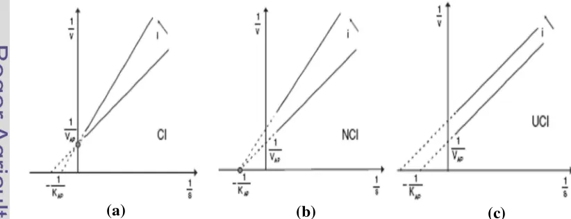 Gambar 3  Grafik Lineweaver-Burk: (a) inhibisi competitive                   (c) , (b) noncompetitive, uncompetitive (Illanes A 2008) 
