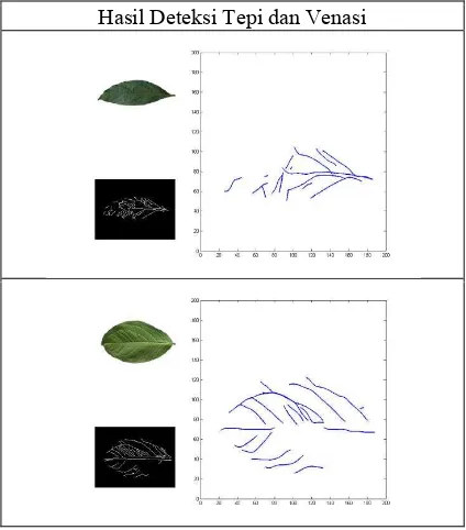 Table 5 Visual evaluation result for certain species of bottom-side leaves 