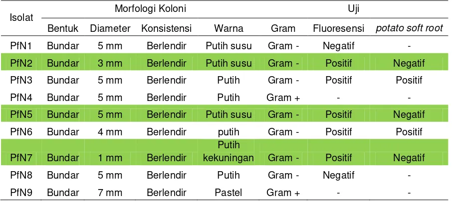 Tabel 1. Karakteristik Koloni Bakteri 
