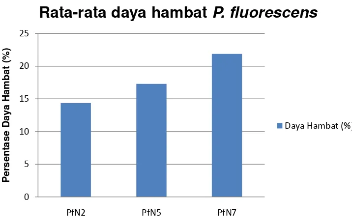 Gambar 9. Rata-rata zona hambat dan persentase daya hambat antagonistik Pseudomonad fluorescens terhadap jamur patogen (FOM) 