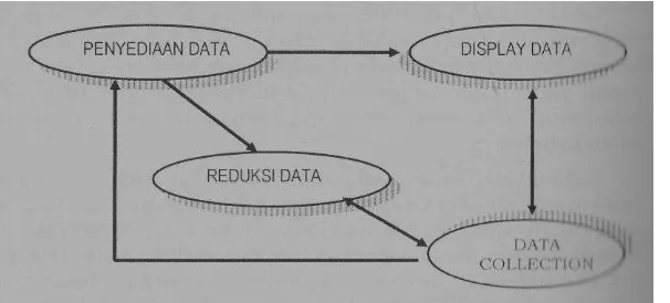 Gambar 3.2 Proses Siklus Pengumpulan Data dan Analisis Data Model Miles dan 