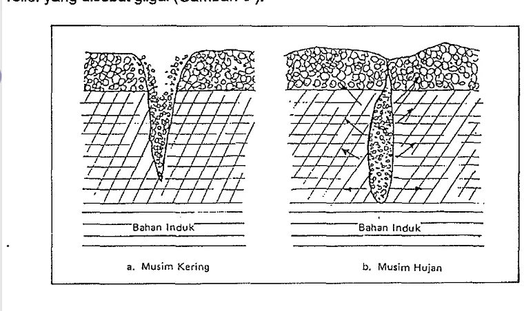 Gambar 6. Bentuk baji pada tanah vertisol 