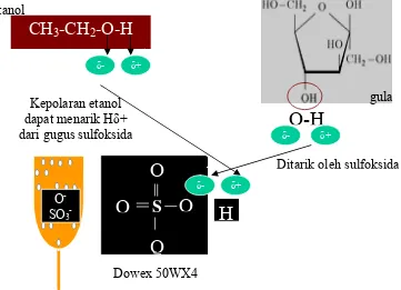 Gambar 12  Mekanisme isolasi oligosakarida dengan kromatografi pertukaran 