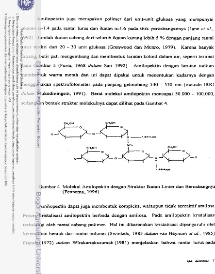 Gambar 4. Molekul Amilopektin dengan Struktur Ikatan Linler d m  Bercabangnya 
