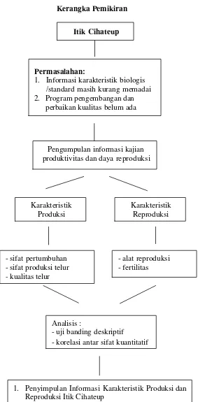 Gambar 1. Diagram kerangka pemikiran penelitian  