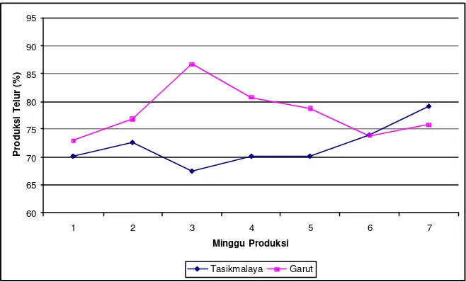 Gambar 3. Grafik produksi telur mingguan itik Cihateup. 