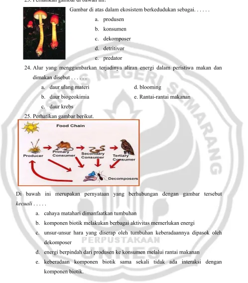 Hasil Pengamatan - Komponen-komponen Ekosistem