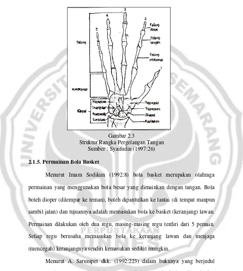 Gambar 2.3 Struktur Rangka Pergelangan Tangan 