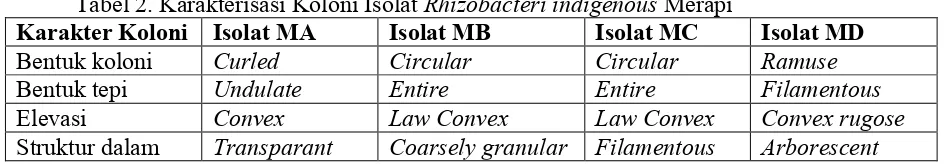 Tabel 2. Karakterisasi Koloni Isolat Rhizobacteri indigenous Merapi 
