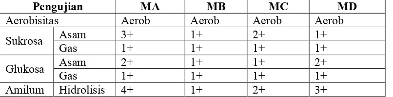 Tabel 4. Sifat fisiologi isolat Rhizobacteri indigenous Merapi 