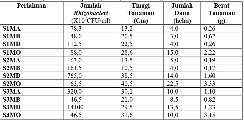 Tabel 6. Rerata jumlah Rhizobacteri indigenous Merapi dan parameter pertumbuhan pada uji kompatibilitas dengan bibit Padi 
