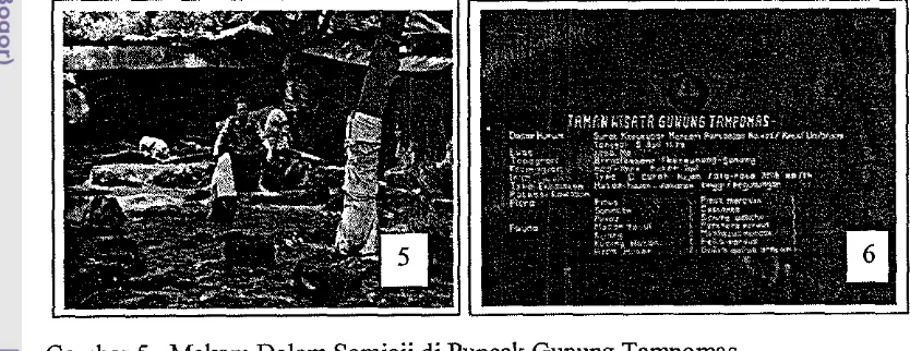Gambar 5. Makam Dalem Samiaji di Puncak Gunung Tampomas 