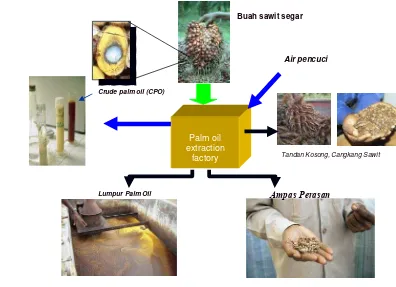 Gambar 1. Pengolahan buah sawit menghasilkan produk utama minyak sawit 