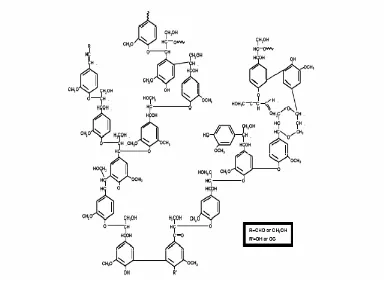 Gambar 5. Struktur Lignin (Hammel, 1997) 
