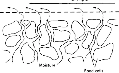 Gambar 7.  Pergerakan air dalam bahan pangan selama pengeringan (Fellows, 2000) 