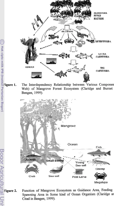 Figure 2. Function of Mangrove Ecosystem as Guidance Area, Feeding Area apd Spawning Area in Some kind of Ocean Organism (Claridge and ~urnet 