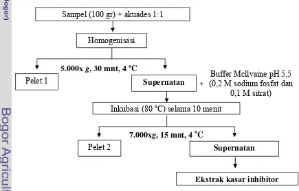 Gambar 6  Diagram alir proses ekstraksi inhibitor enzim katepsin dengan teknik 