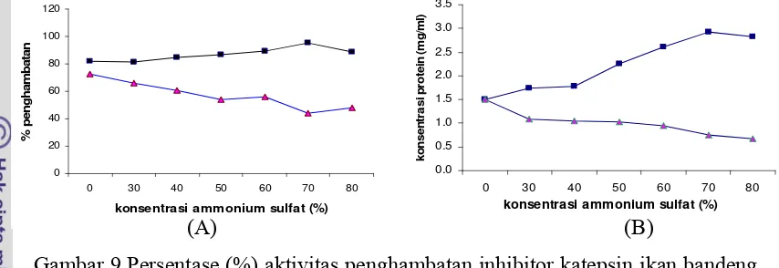 Gambar 10  Persentase (%) aktivitas penghambatan inhibitor katepsin ikan patin setelah pengendapan ammonium sulfat (A) ; konsentrasi protein setelah pengendapan dangan ammonium sulfat (B)