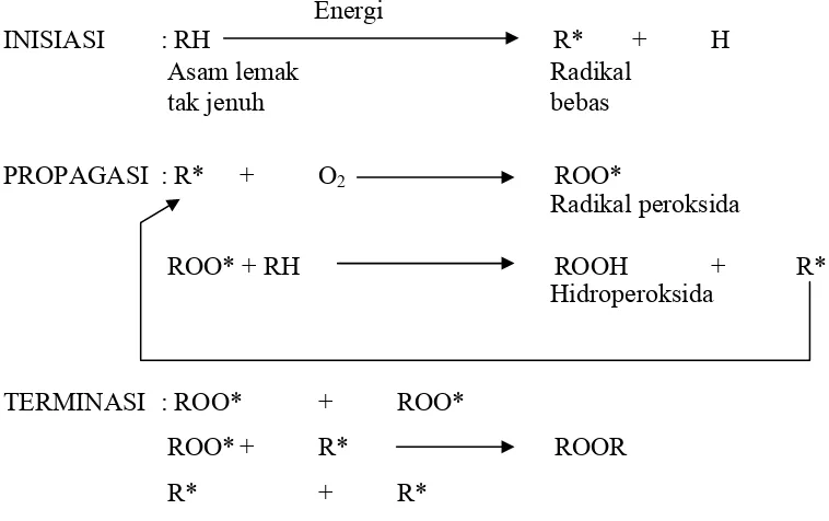 Gambar 5. Reaksi oksidasi pada lemak 