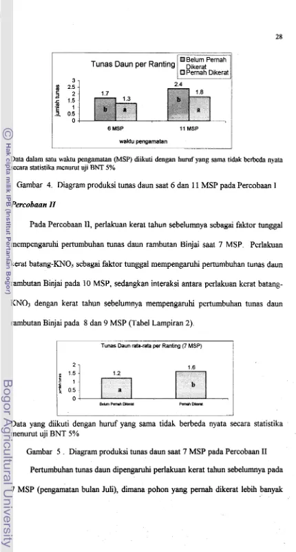 Gambar 4. Diagram produksi tunas daun saat 6 dan 1 1 MSP pada Percobaan I 