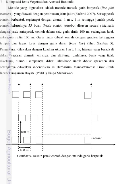 Gambar 5. Desain petak contoh dengan metode garis berpetak 