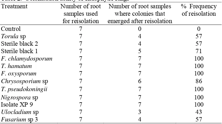 Figure 5.  Colonisation test (a) Reisolation of endophytic fungi on PDA media  from  tomato plant  roots of  endophytic fungi treated plants              (b) Re-isolation on PDA media of control tomato  plant roots  not treated with endophytic fungi  