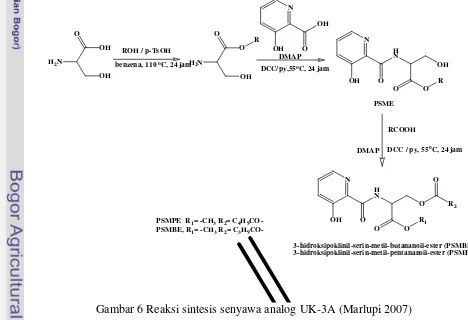 Gambar 6 Reaksi sintesis senyawa analog UK-3A (Marlupi 2007) 