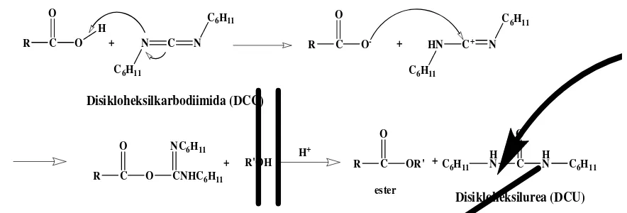 Gambar 8 Mekanisme reaksi pembentukan ester dengan katalis DMAP (Carey & 