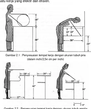 Gambar 2.2 : Penyesuaian tempat kerja dengan ukuran tubuh wanita   (dalam inchi/2,54 cm per inchi)  