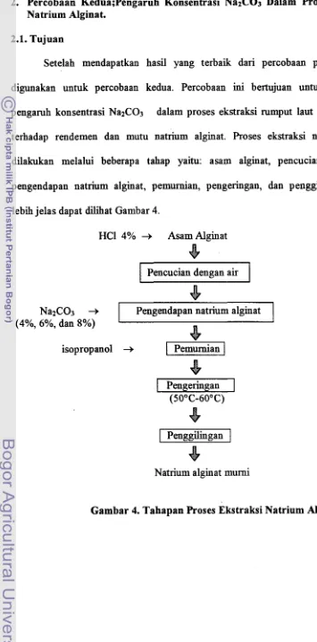 Gambar 4. Tahapan Proses Ekstraksi Natrium Alginat 