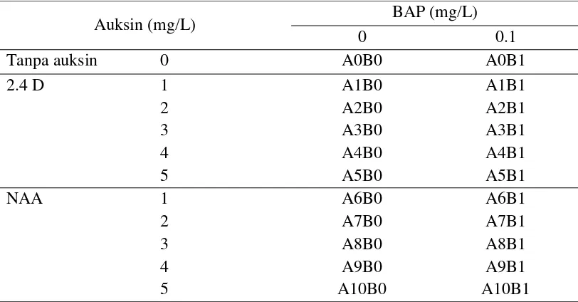 Tabel 2. Kombinasi Auksin (2.4 D dan NAA) dan BAP  