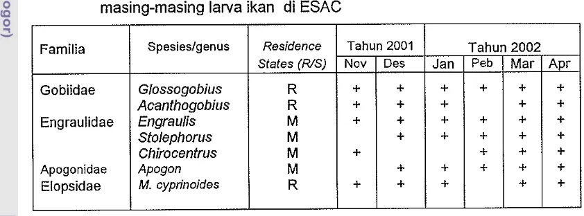 Tabel 4. Kehadiran larva ikan dominan (+) pada setiap bulan pengarnatan dan = 