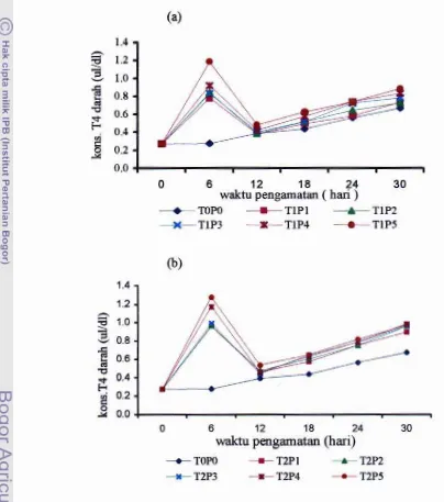 Gambar 11. Perkembangan konsentrasi tiroksin darah kecebong katak lembu selama penelitian, (a) perendaman 2 hari dan (b) perendarnan 4 hari 