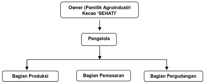 Gambar 4.2. Struktur Organisasi Agroindustri Kecap Sehati 