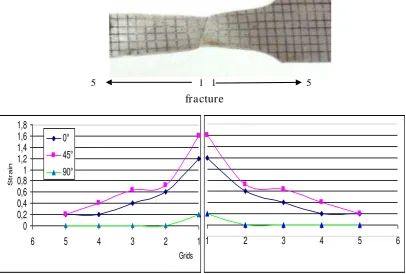 Fig.8  Strain Distribution of uni-axial test specimen 
