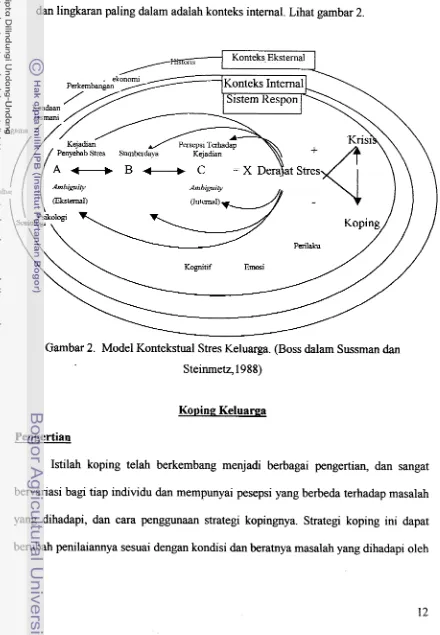 Gambar 2. Model Kontekstual Stres Keluarga. (Boss dalam Sussman dan 