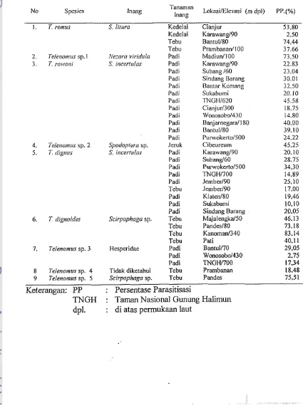 Tabel 4. Telenomus spp. yang didapat dari berbagai inang dan lokasi di Jawa 
