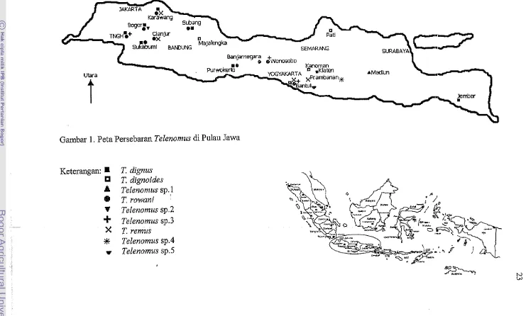 Gambar 1. Peta Persebaran Telenomus di Pulau Jawa 