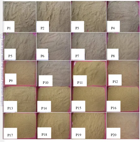 Gambar  6   Sampel standar dedak padi yang telah dicampur dengan sekam 