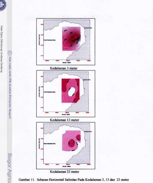 Gambar 1 1. Sebaran Horizontal SdSalinitas Pada Kedalarnan 3,13 dan 23 meter 
