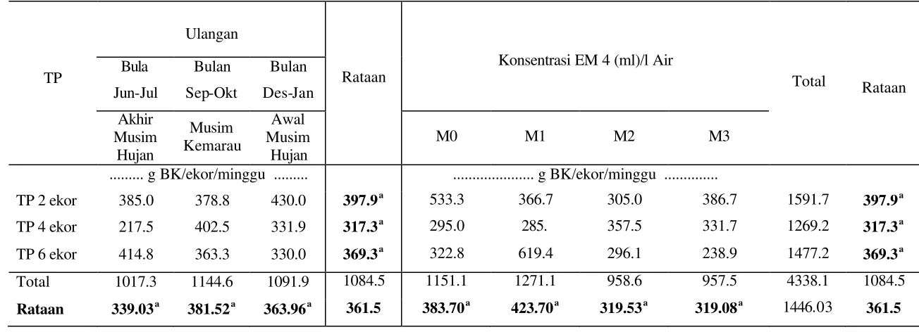 Tabel 2  Rataan Konsumsi Rumput Tully pada Tingkat Konsentrasi EM 4 dan Tekanan Penggembalaan serta Musim Berbeda