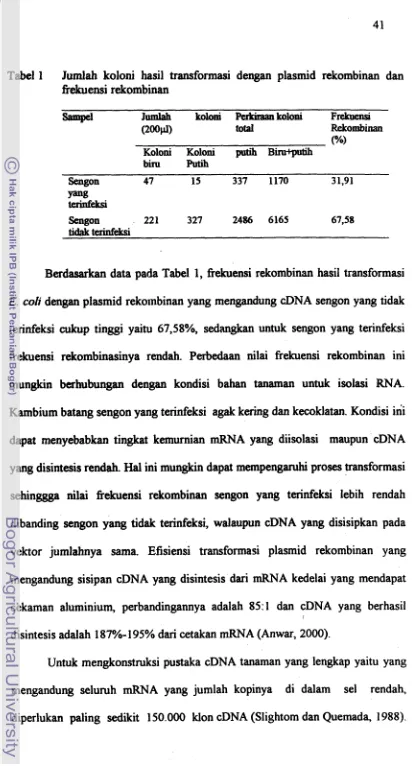 Tabel 1 Judah koloni hasil transformasi dengan plasmid rekombinan dan 